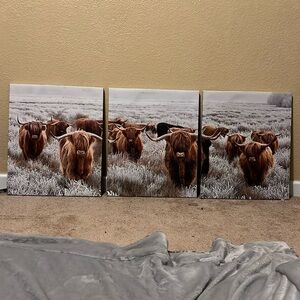 Wall decor Highlander cows